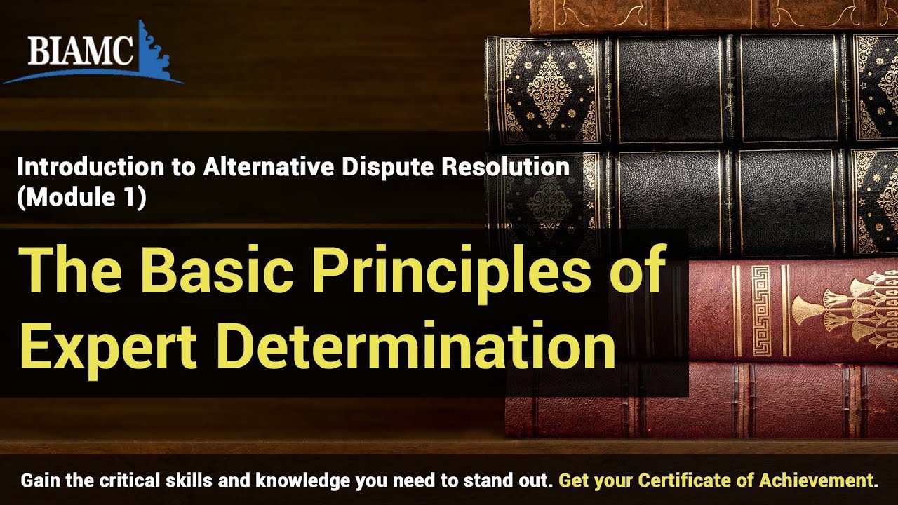 The Basic Principles of Expert Determination