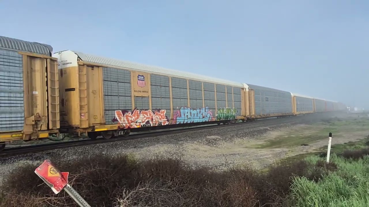 Union Pacific Manifest Train passing Goshen Ave Goshen California