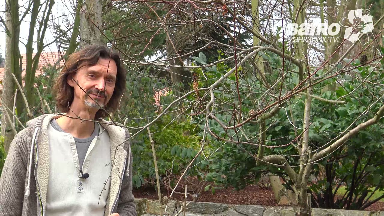 Zahradnictví SAFRO® Jarní střih keřů (Spring pruning - English subtitles)