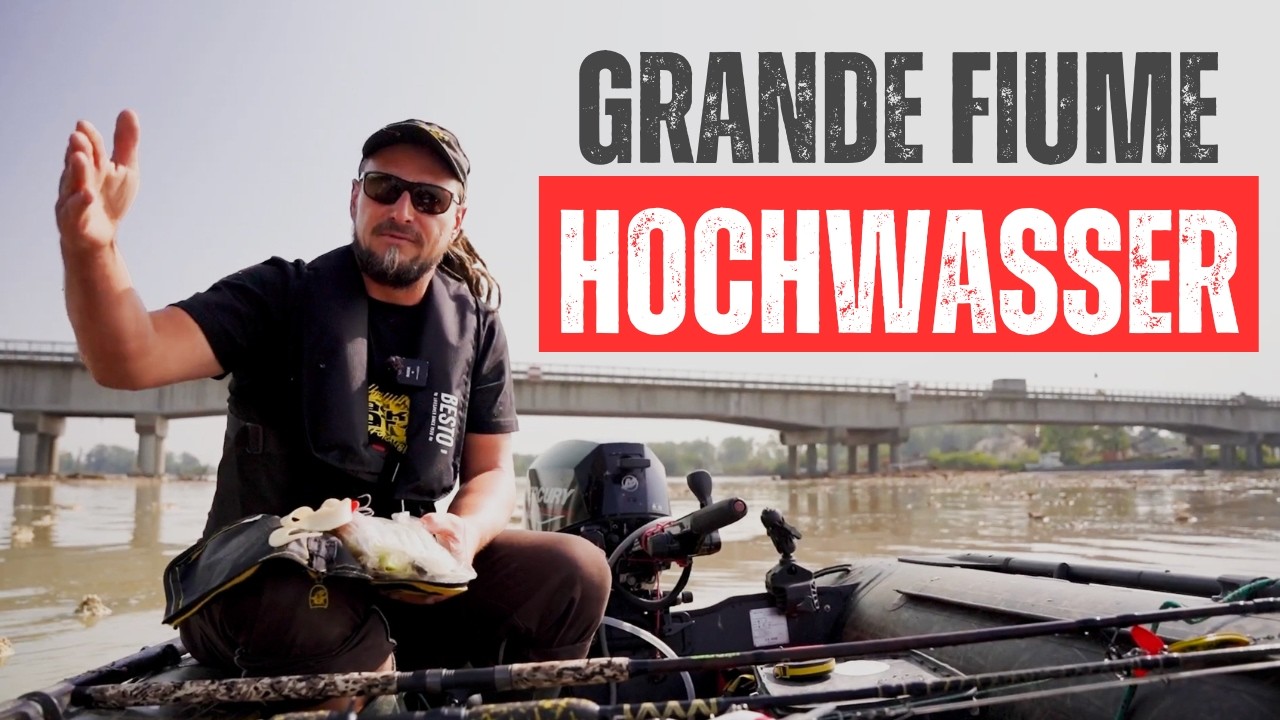 Spinnfischen Tipps f&uuml;r Anf&auml;nger - Wallerangeln am Po bei Hochwasser #wallerwelt2