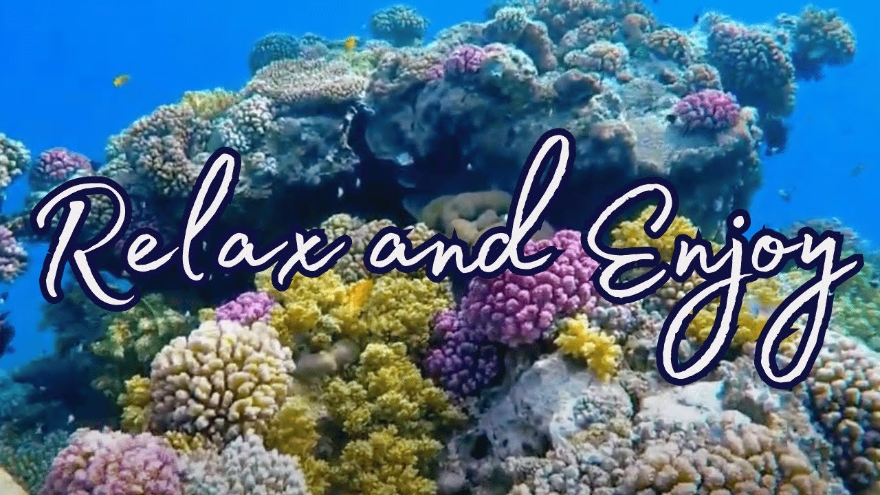 Soothing and calming video | 30 Minutes of Relaxing Video | Nature Scenes Set to Music