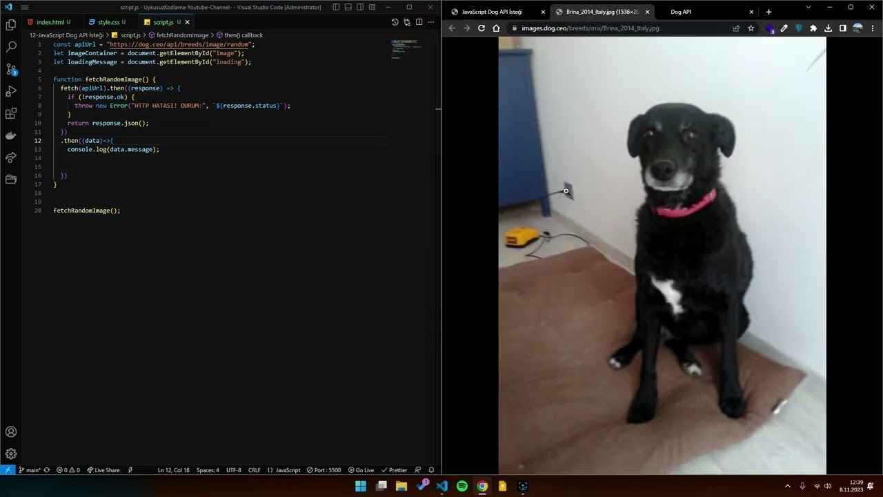 JavaScript API İsteği (Dog API)