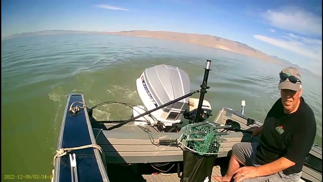 65 Starcraft