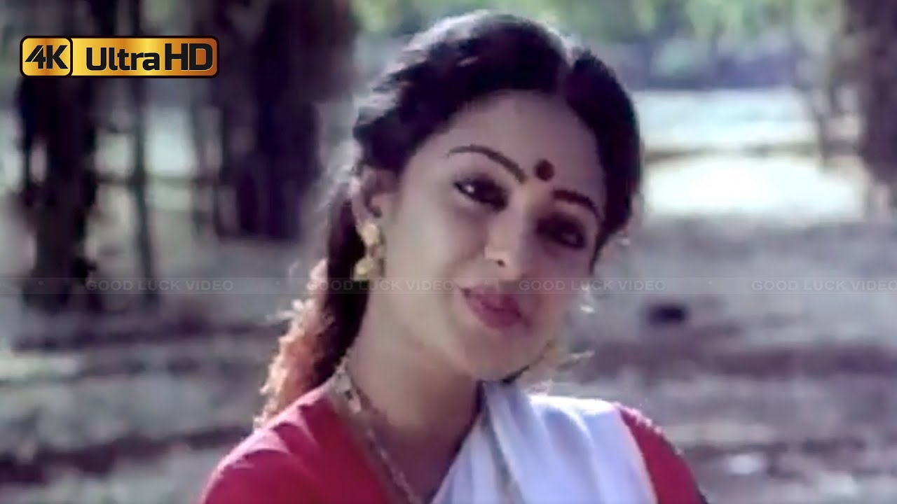 அன்பே இது காதல் பாடல் | Anbe Idhu Kadhal Song | S. P. Balasubrahmanyam, K. S. Chithra | Thulasi .