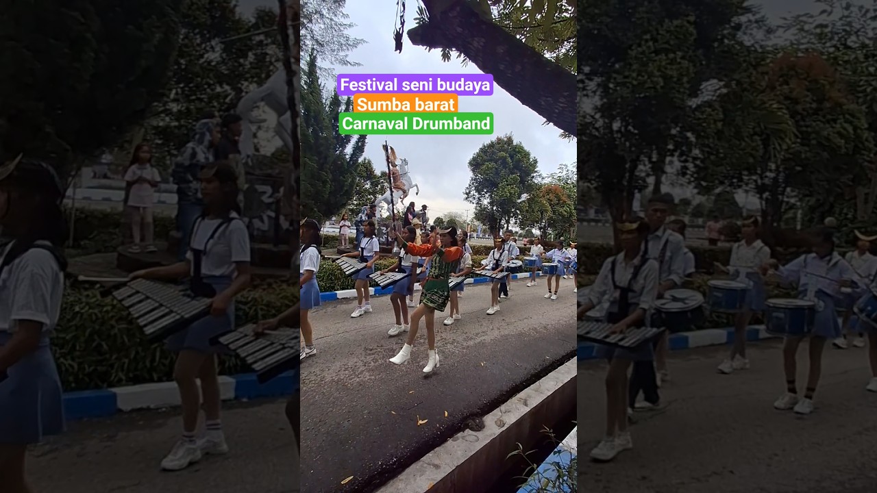 Carnaval seni budaya sumba barat 2025 #shortvideo