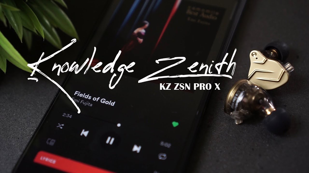 KZ ZSN PRO X REVIEW!