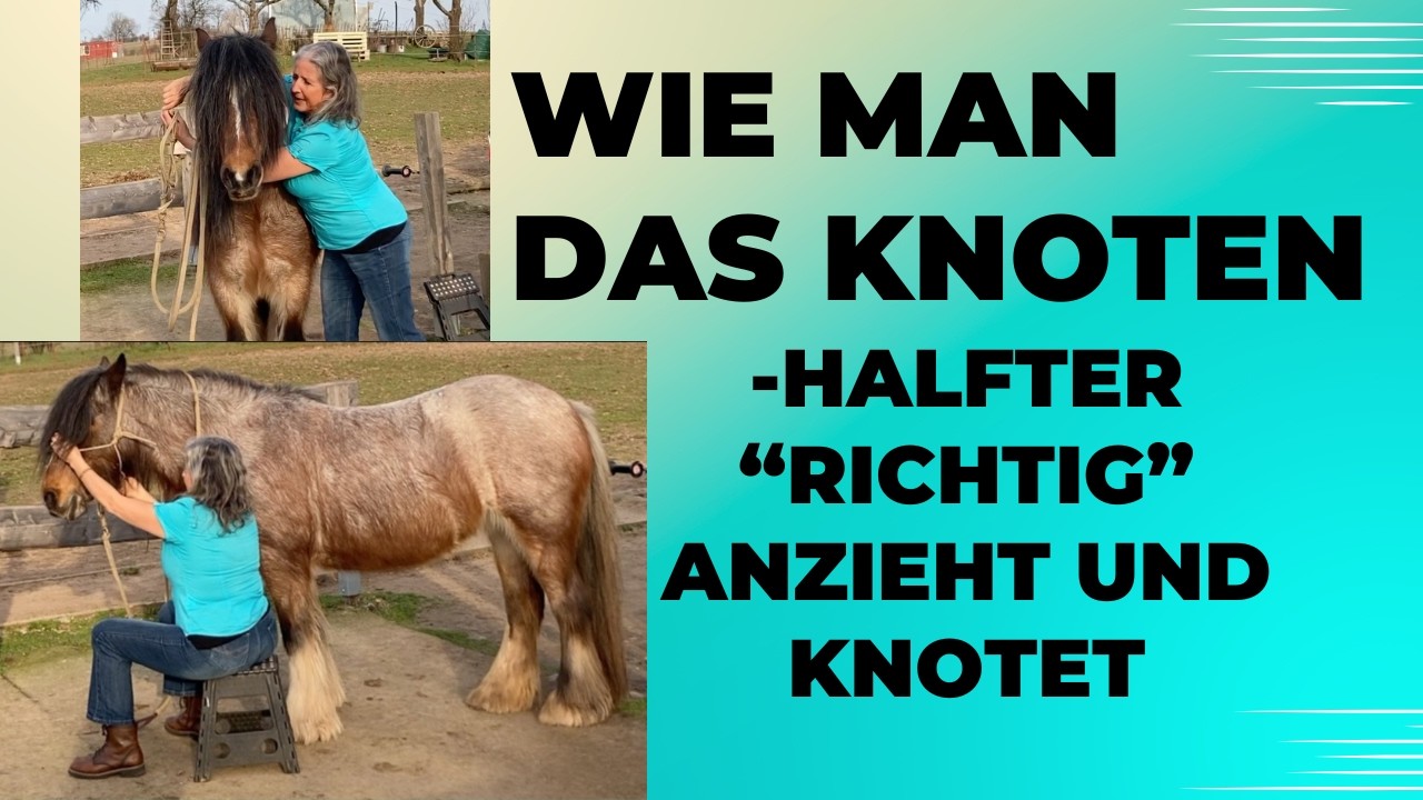 Der richtige Halfterknoten? Wie macht man den Knoten vom Knotenhalfter zu?