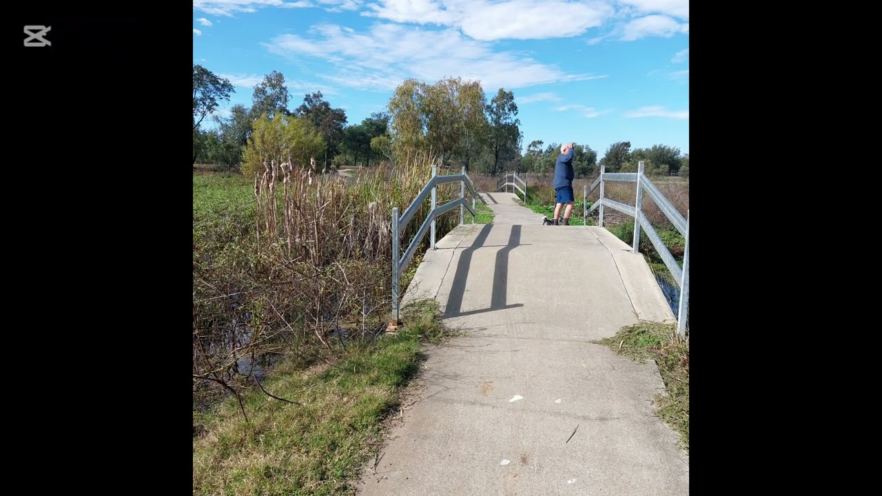 Where the Future of the Outback Flows: Roma (Part 1: Longreach Trip)