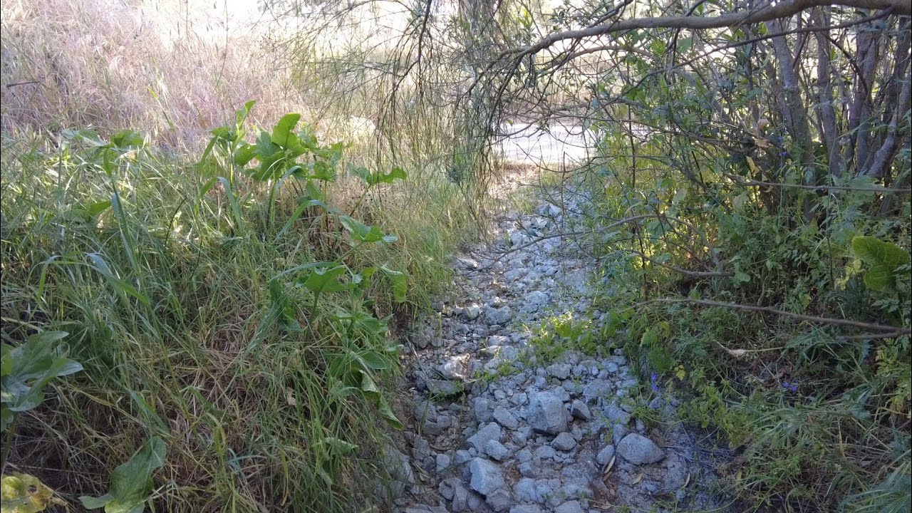 Восстановление ручьев во внутренней части Андалусии: вода, деревья и выживание.