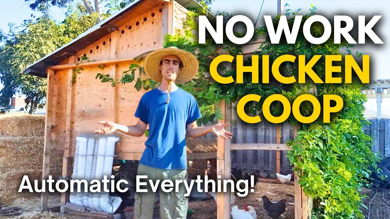 The EASIEST Way to Build a Chicken Coop with Automatic Food and Water