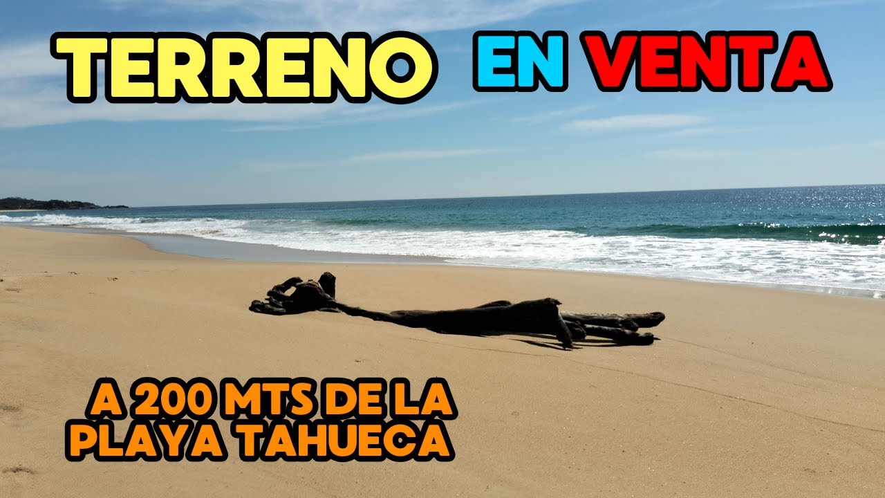 🎖️Terreno en venta en playa tahueca  | costa oaxaca, mexico #terrenosenventa  #terrenosenlaplaya .