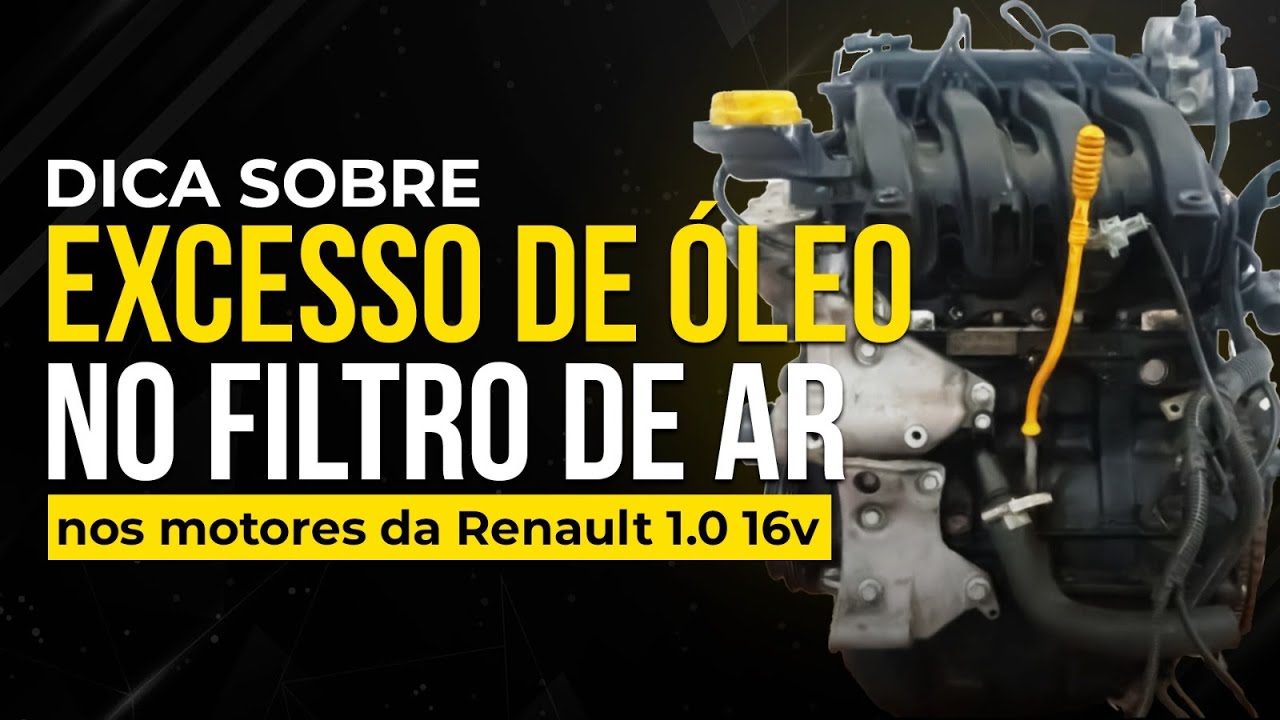 Dica sobre excesso de &oacute;leo  no filtro de ar nos motores da Renault 1.0 16v