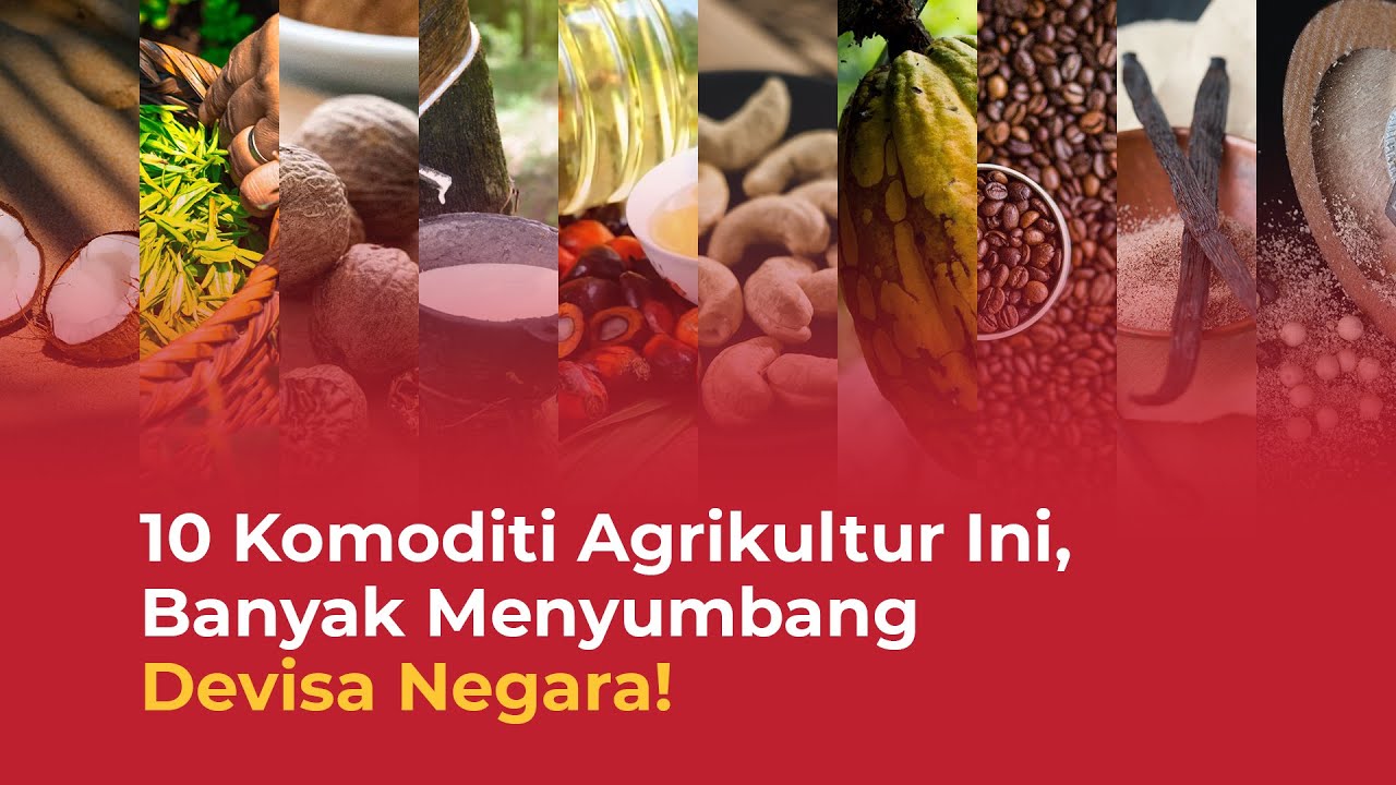 Top 10 Komoditas Ekspor dari Sektor Pertanian dan Perkebunan Indonesia!