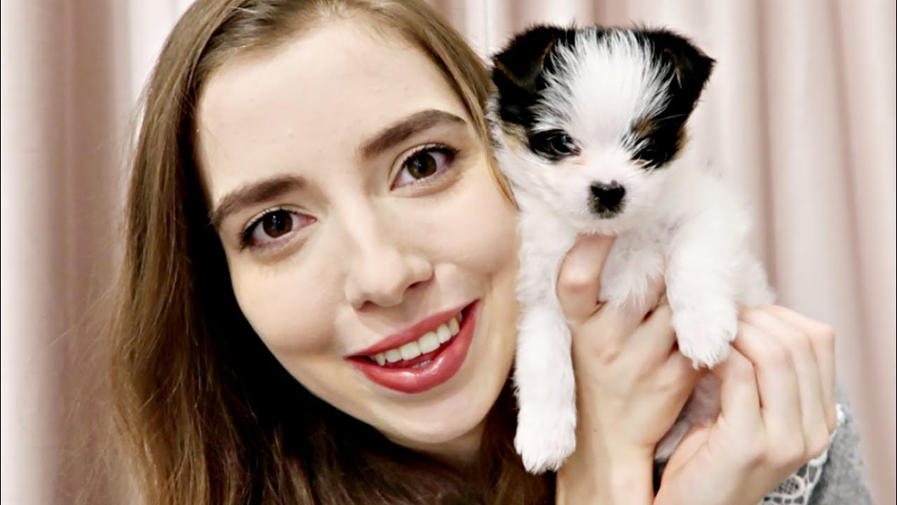 ADOPTOWAŁAM PSA ❤️ M&Oacute;J NOWY PIES *to prawda*!