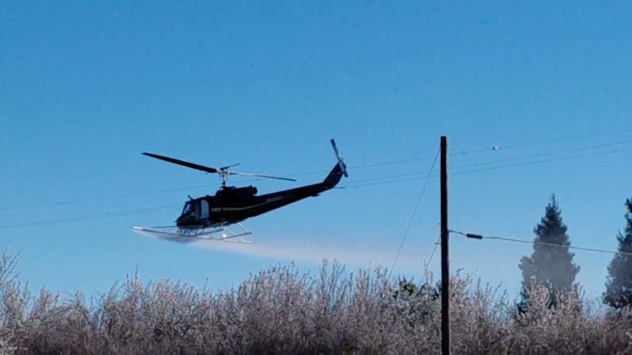 Fungicide Application By Helicopter