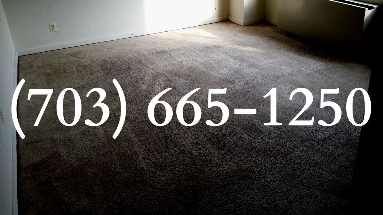 Professional rug cleaning, upholstery cleaning and carpet cleaning same day service Arlington VA