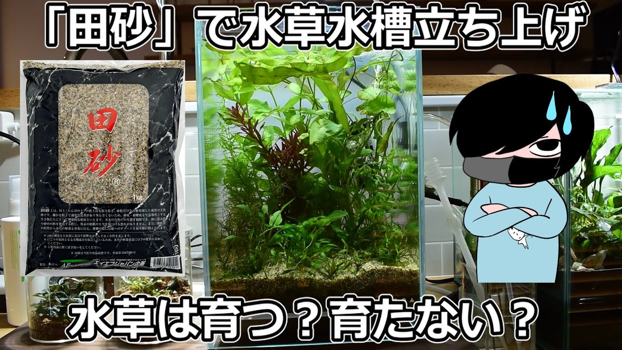 「田砂」で小型水草水槽立ち上げてみた【アクアリウム】