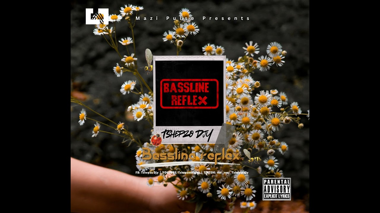 Tshepzo Djy - Bassline refleX 