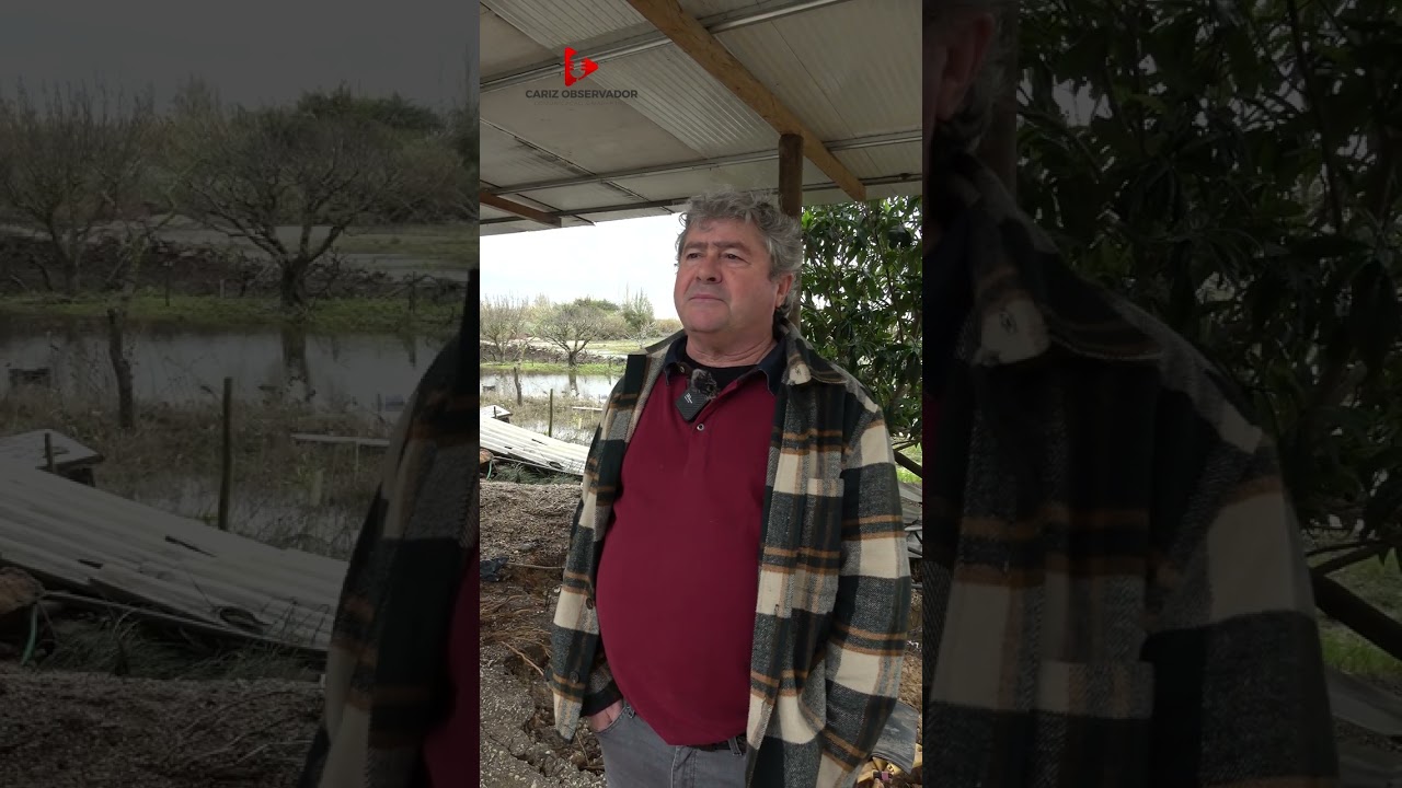 “𝐂𝐡𝐞𝐢𝐚𝐬 𝐝𝐨 𝐓𝐞𝐣𝐨: 𝐞𝐧𝐭𝐫𝐞 𝐨𝐬 𝐞𝐬𝐭𝐫𝐚𝐠𝐨𝐬 𝐧𝐚 𝐚𝐠𝐫𝐢𝐜𝐮𝐥𝐭𝐮𝐫𝐚 𝐞 𝐧𝐚𝐬 𝐜𝐚𝐬𝐚𝐬, 𝐚 𝐟𝐨𝐫𝐜̧𝐚 𝐝𝐚 𝐫𝐞𝐜𝐮𝐩𝐞𝐫𝐚𝐜̧𝐚̃𝐨”