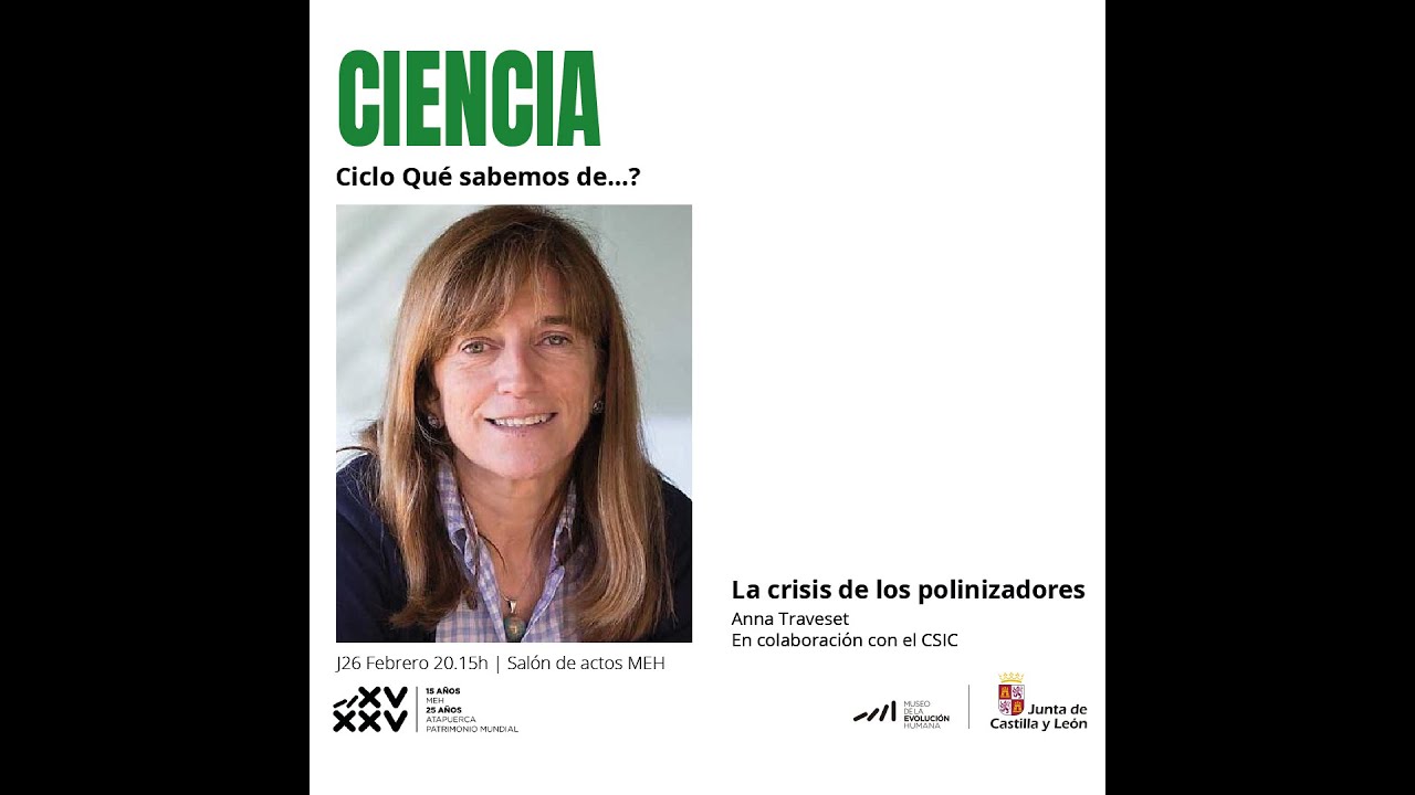 La crisis de los polinizadores