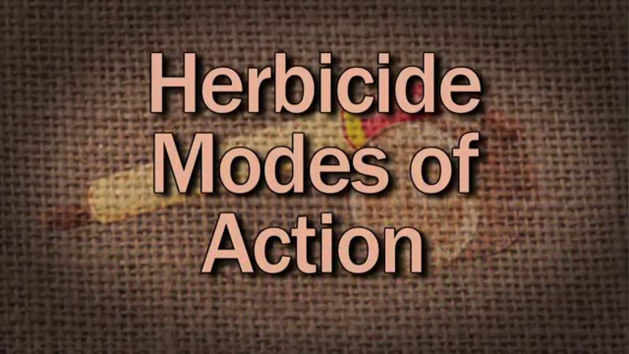 Herbicide Modes Of Action - Family Plot