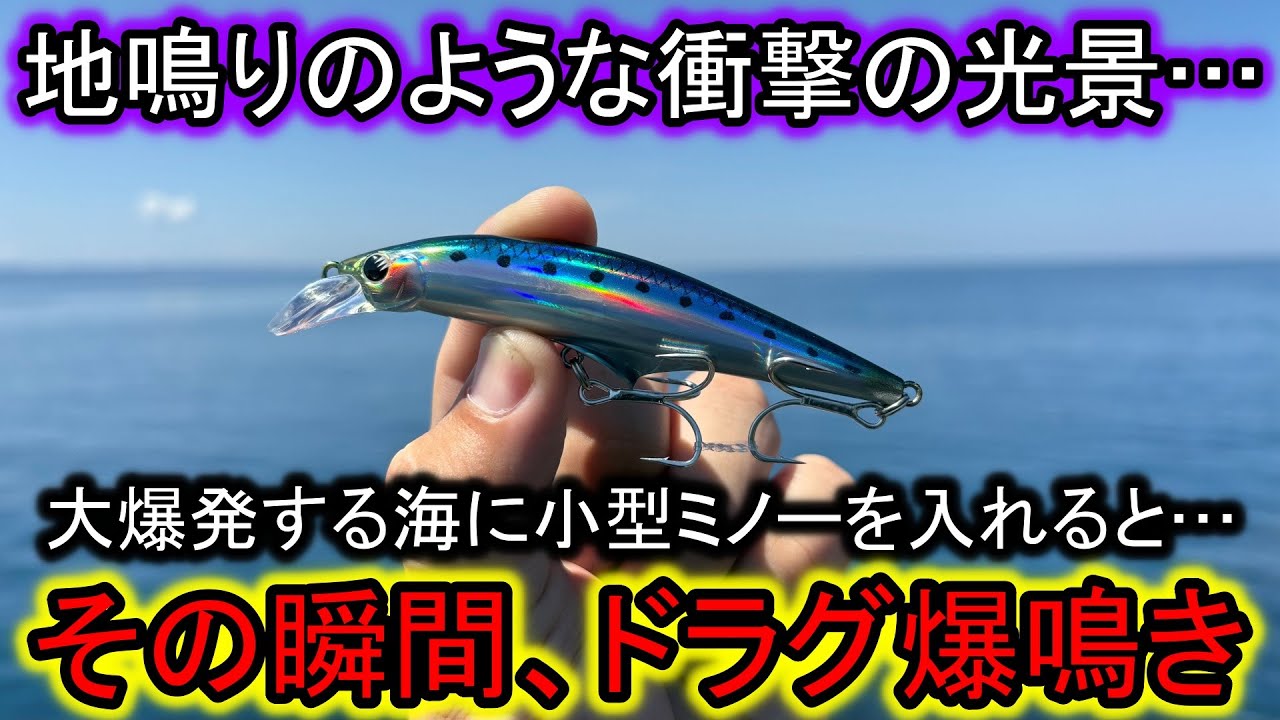 大型青物が目の前で狂いまくる異常な海…小型ミノーを落とすとドラグが止まりませんでした