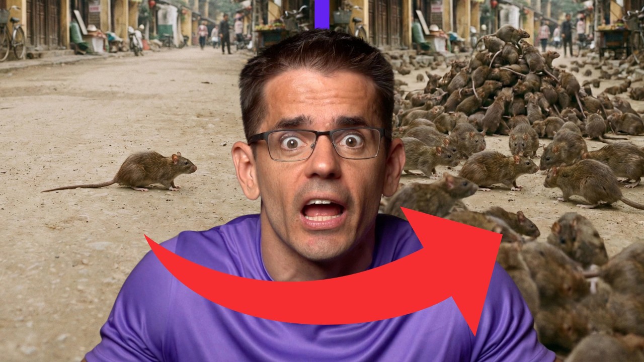 Ako sa z dobrého úmyslu stala TOTÁLNA pohroma?