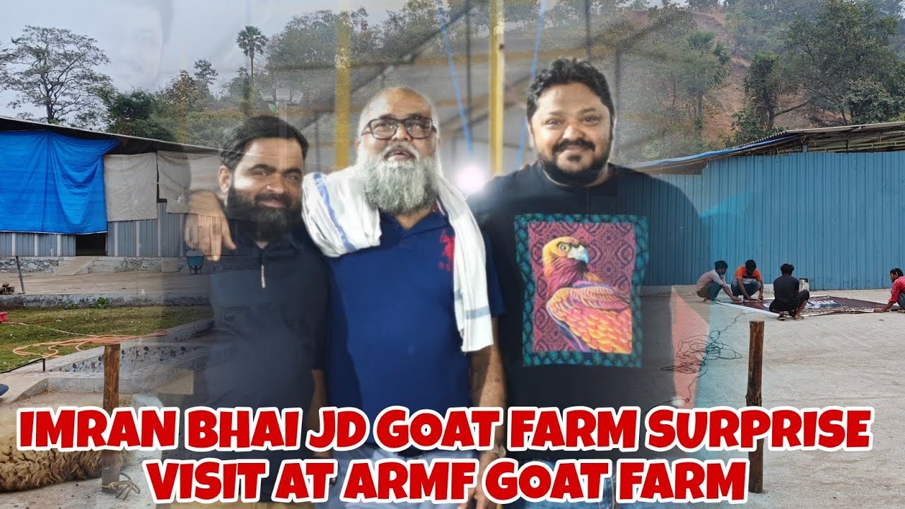 JD GOAT FARM 🐐 IMRAN BHAI SURPRISE VISIT AT ARMF GOAT FARM 🐐 BIGGEST GOAT'S OF ARMF GOAT FARM