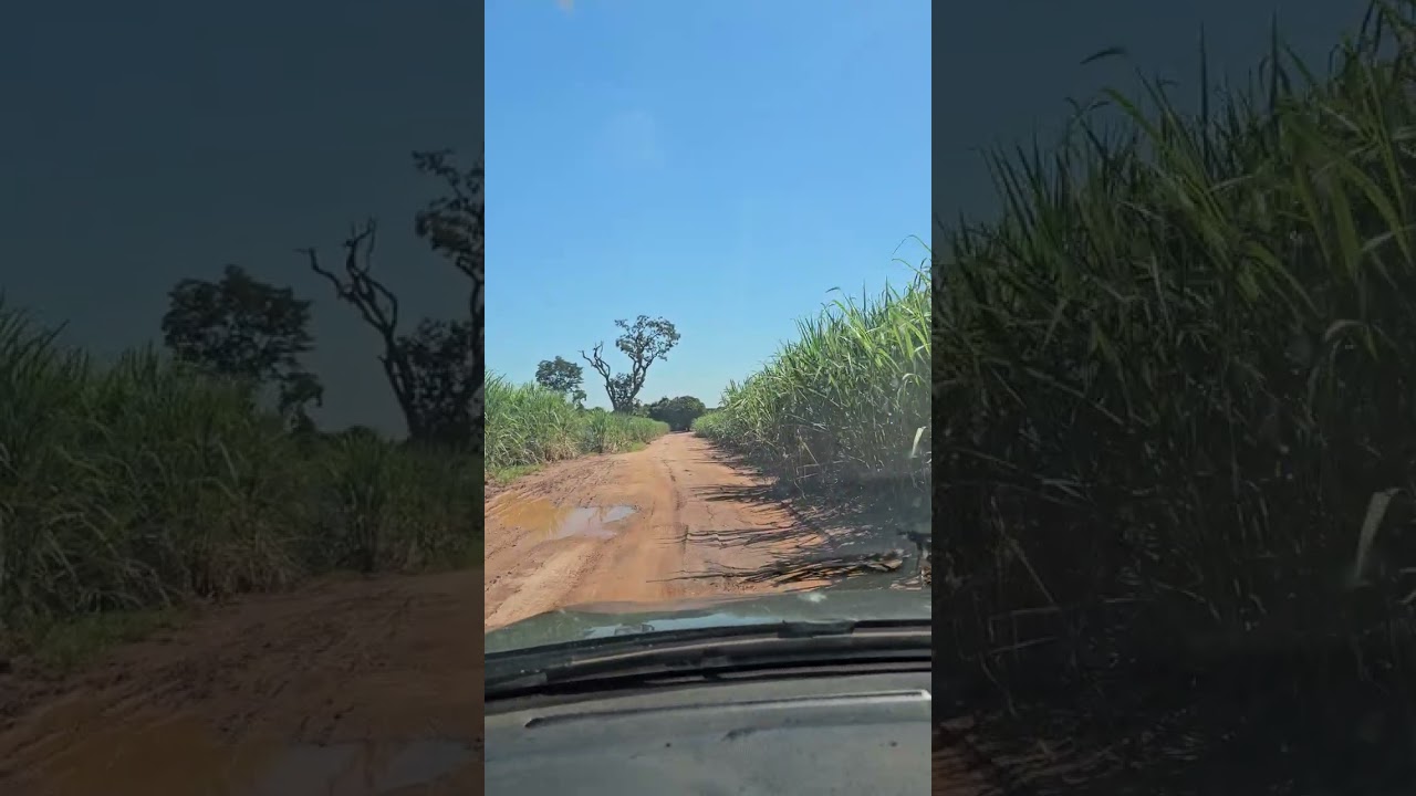 Céu azul em 15 de março de 2026