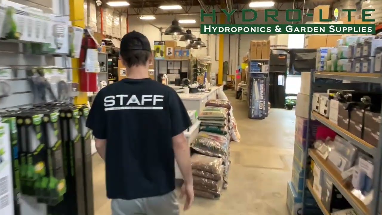 #74 - Power SI