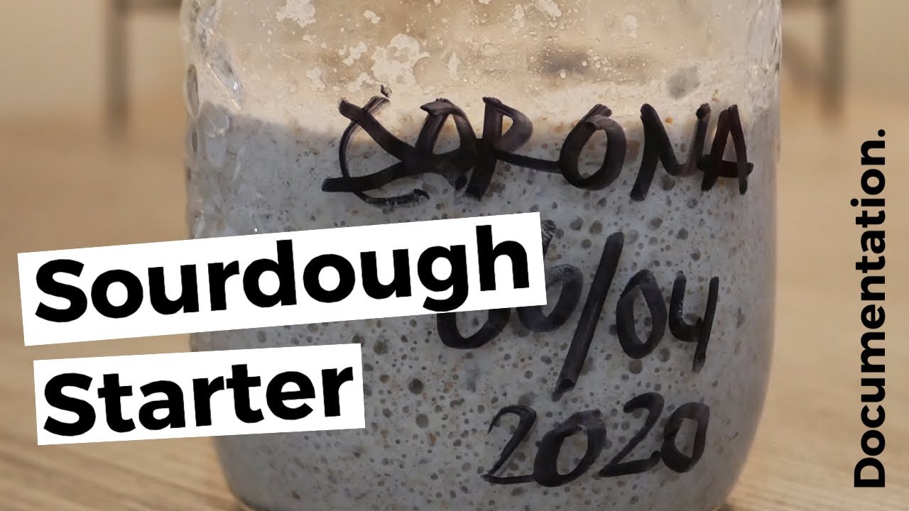HOW TO MAKE SOURDOUGH STARTER DAY BY DAY... #sourdough #levain