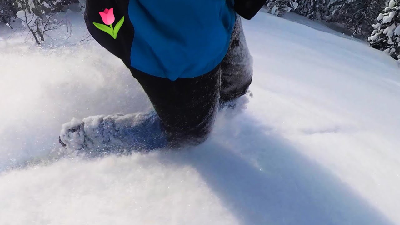 Tippy Toe Telemark - Alfa Free XCD Boot