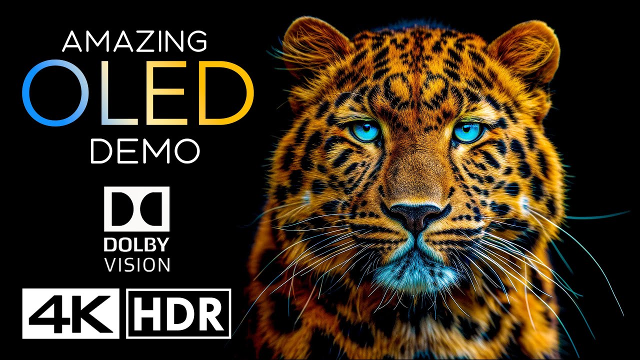 World's Amazing HDR 4K 60fps Dolby Vision (4K Video)