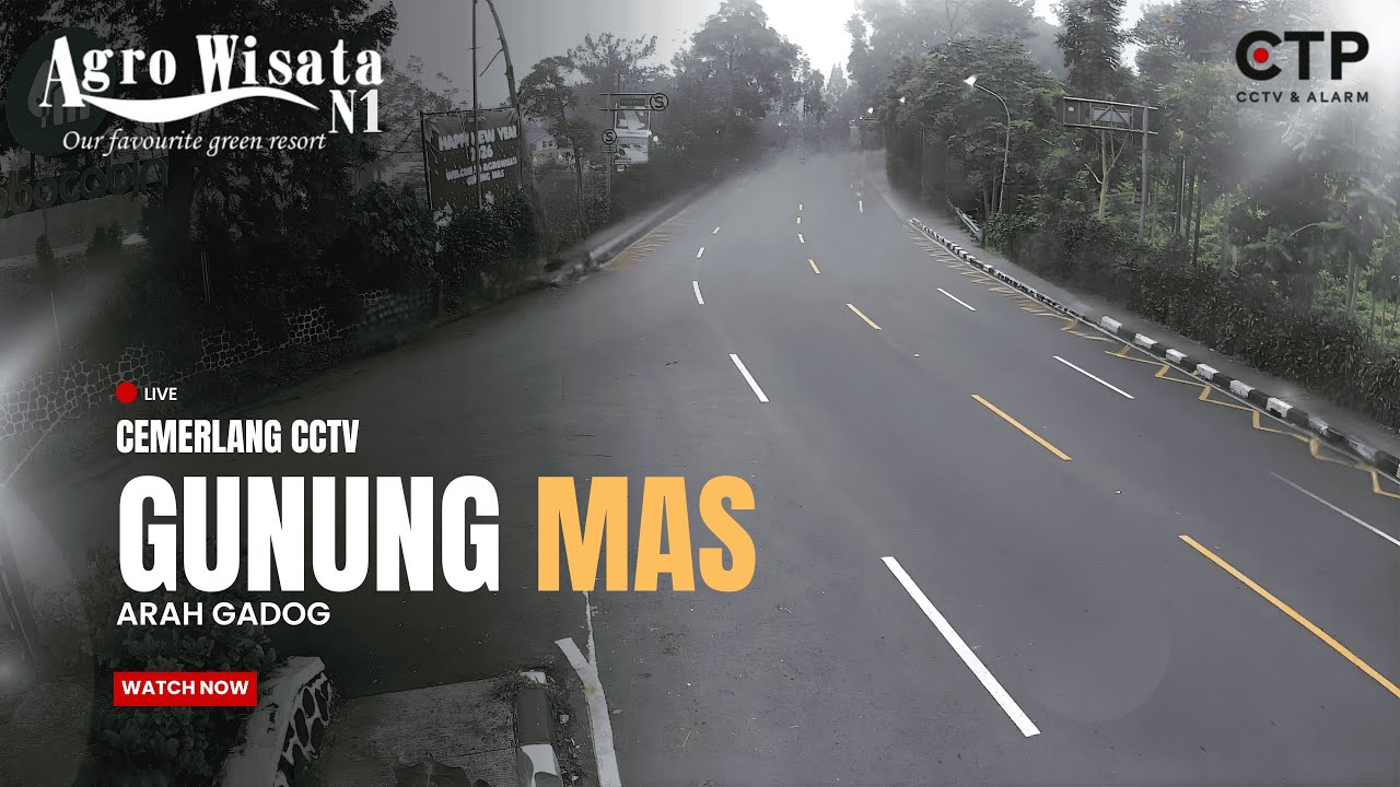 LIVE CCTV Jalur Puncak Agrowisata Gunung Mas | Arah Gadog 24 Jam &mdash; by Cemerlang CCTV