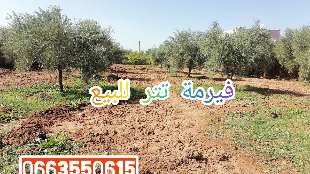 فيرمة مجهزة للبيع🌳تتر قريبة لمراكش موقع زوين👌 بثمن مناسب 0663550615 📞