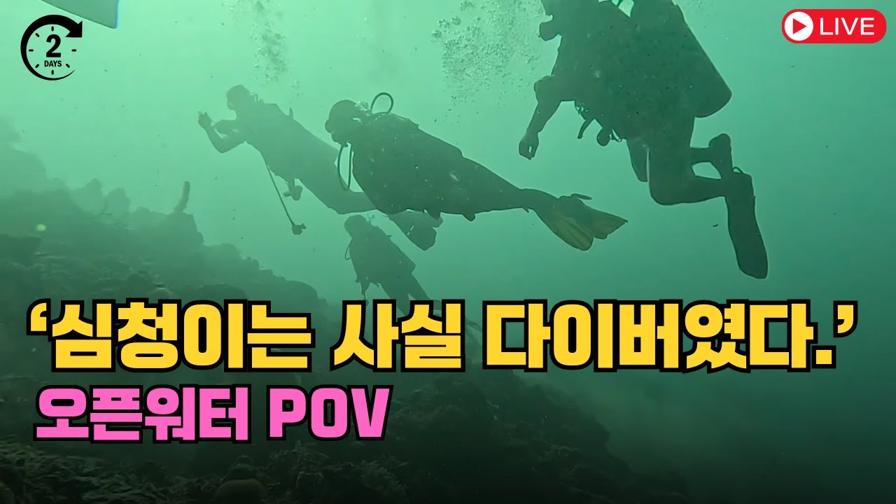 초보 다이버의 오픈워터 해양 실습 2일차 리얼 후기 (POV)