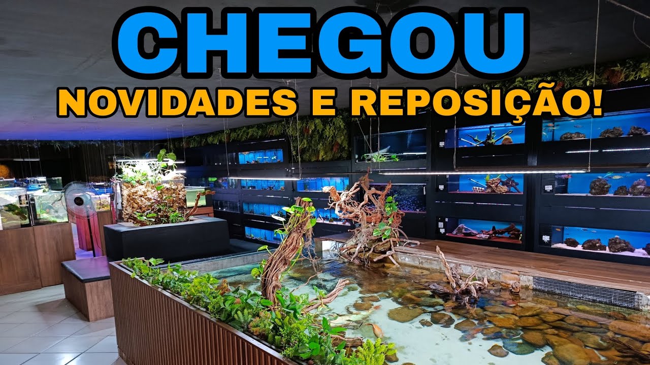 Semana de Reposição de Peixes e Chegada de Novidades!!!