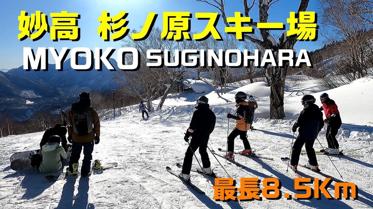 【妙高】妙高 杉ノ原スキー場　日本最長級のロングコース8.5Kmは滑りごたえ充分。