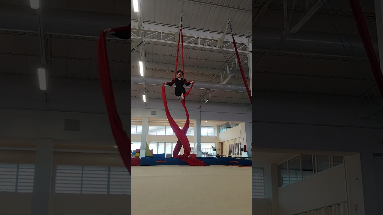 Aerial Silks-In this Shirt 