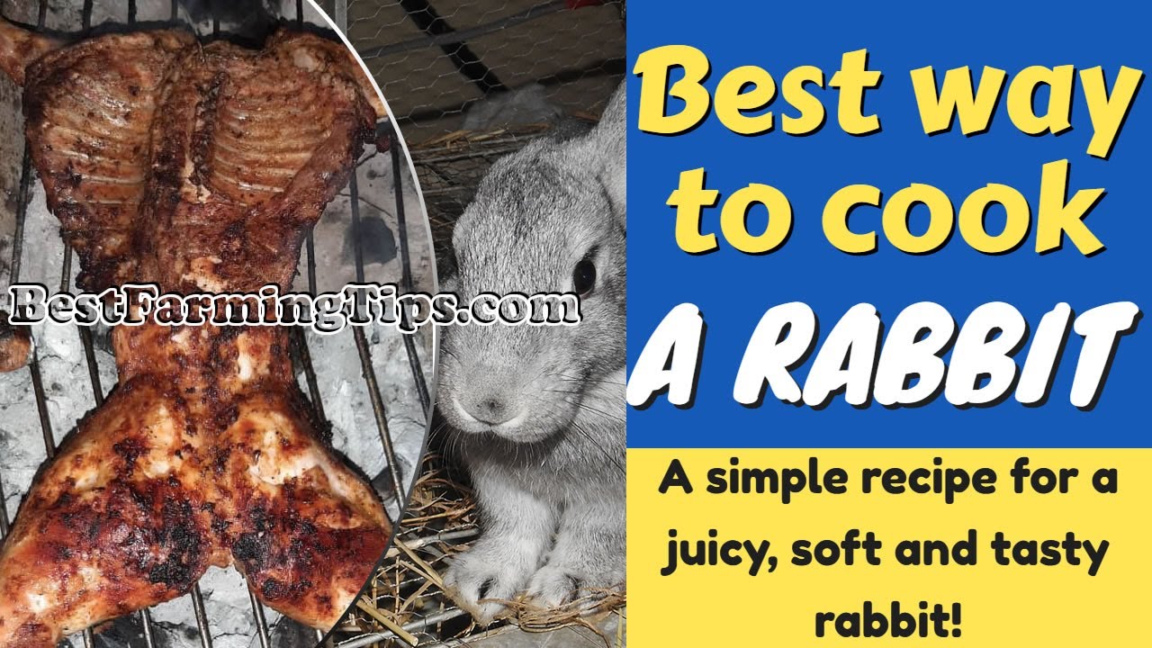 How to cook a rabbit - Best simple recipe for cooking a rabbit with few ingredients using charcoal