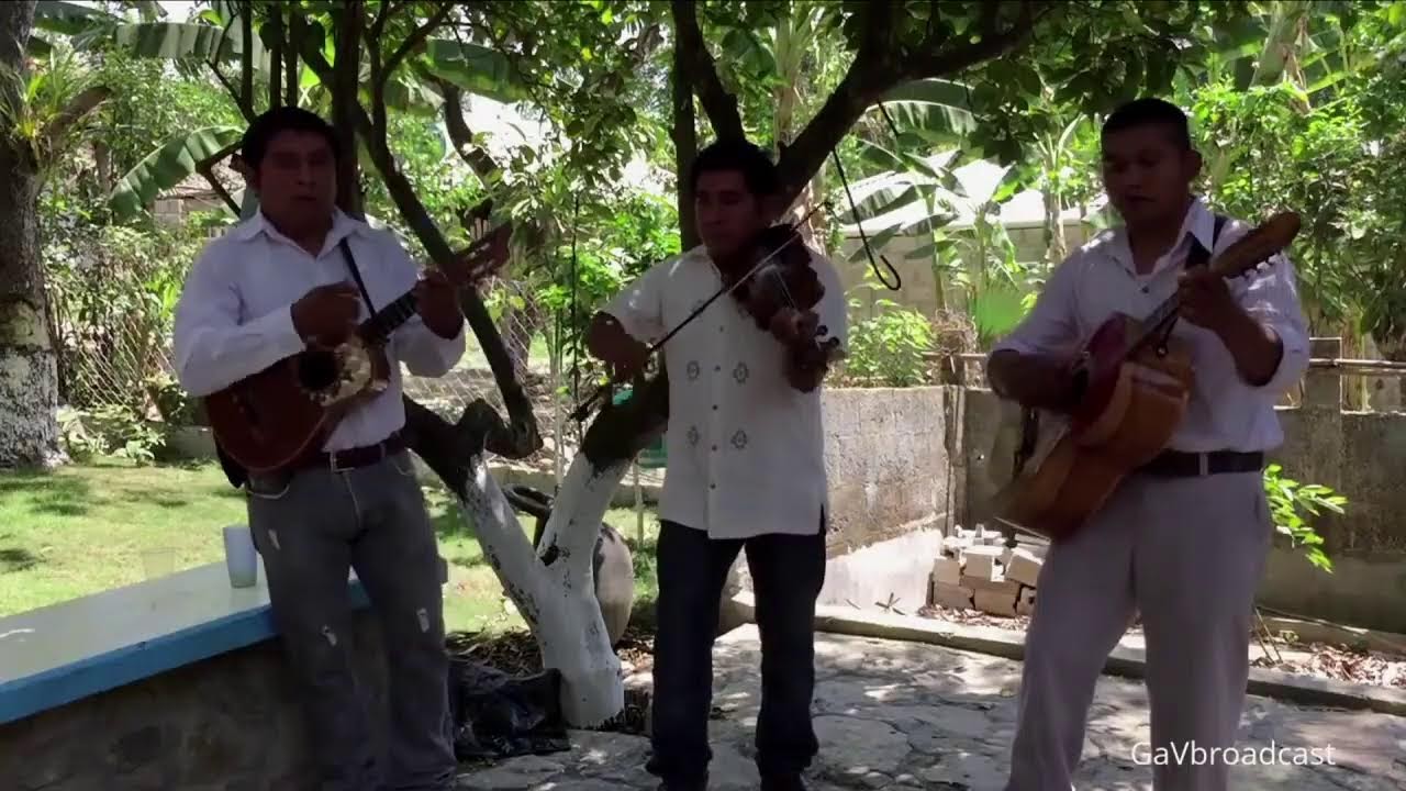Disfrutemos de Huapangos Huastecos! Bienvenidos a todos