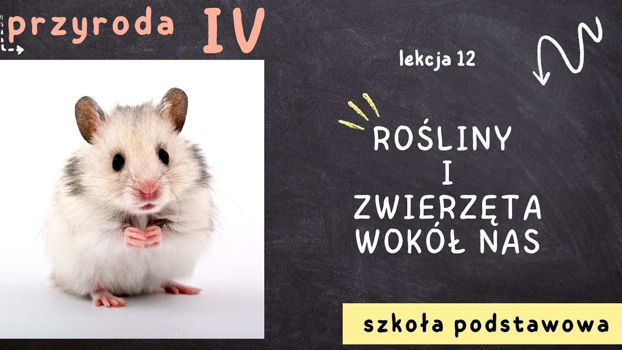 Przyroda klasa 4 [Lekcja 12 - Rośliny i zwierzęta wokół nas]