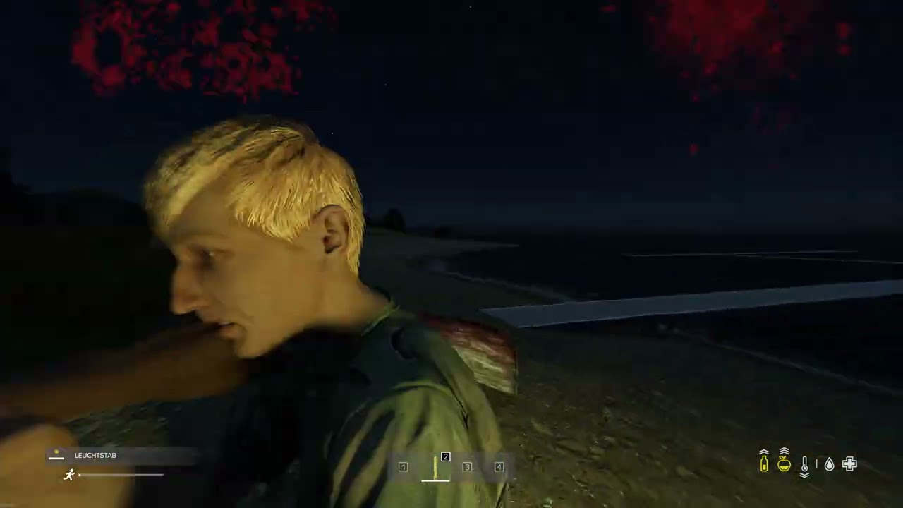 Dayz Vid 116