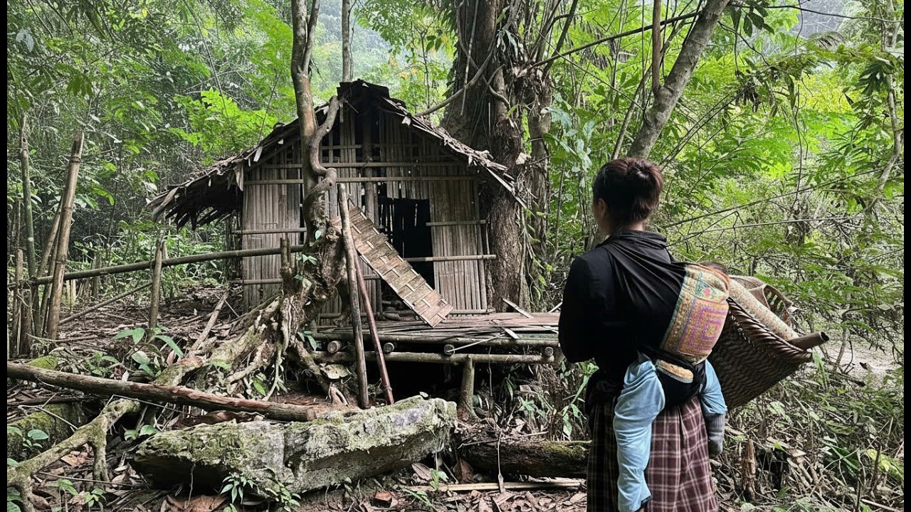 From Survival to a Home – A Woman Rebuilds an Abandoned House from Scratch