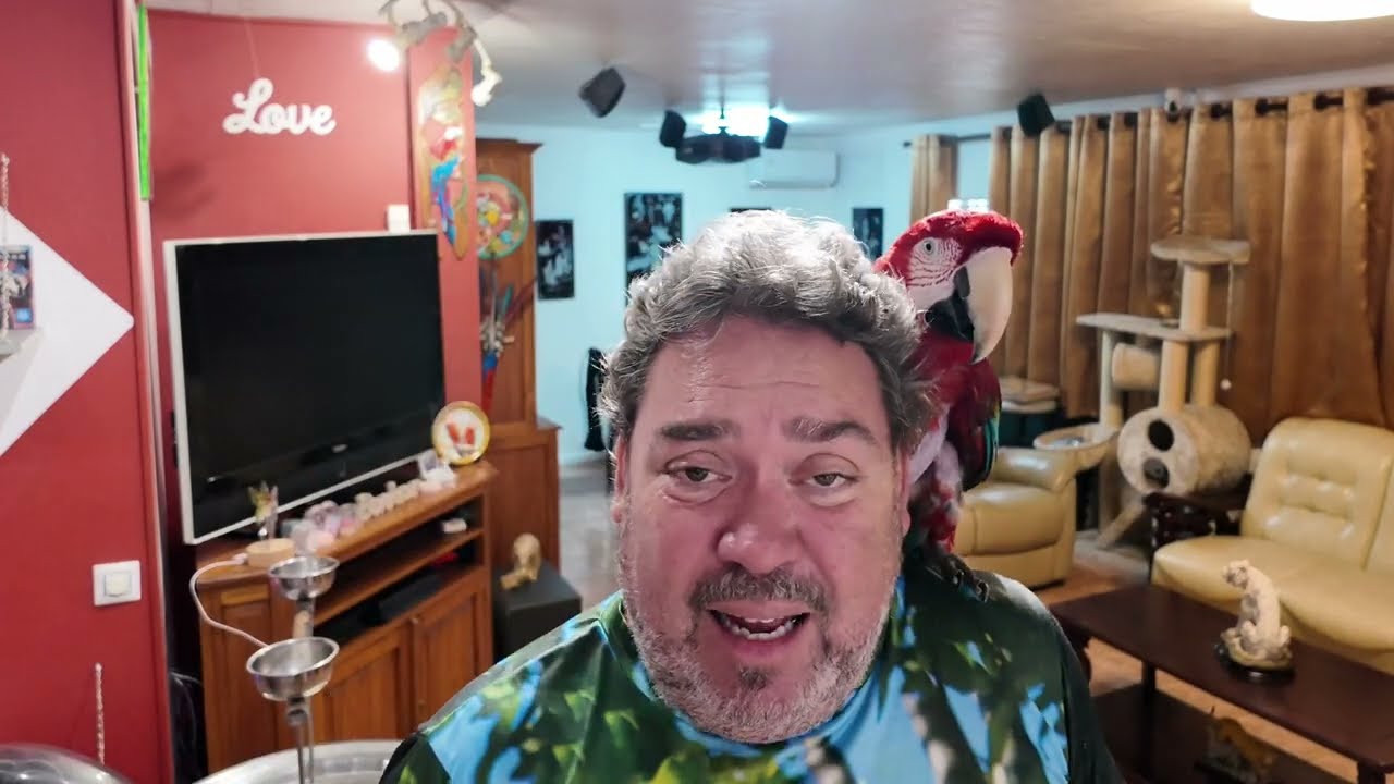 Je fais du rappel avec mon perroquet  ara Jackson