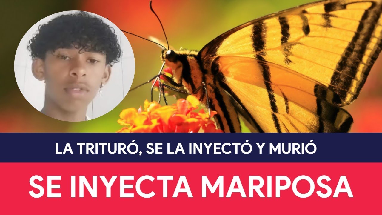 Adolescente se INYECTA una mariposa triturada y muere en Brasil