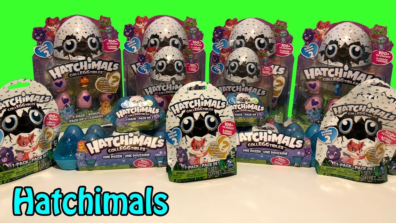 HUGE Hatchimals Package Colleggtibles Season 2 Packs Blind Bags Citrus Coast #giftedbyhatchimals