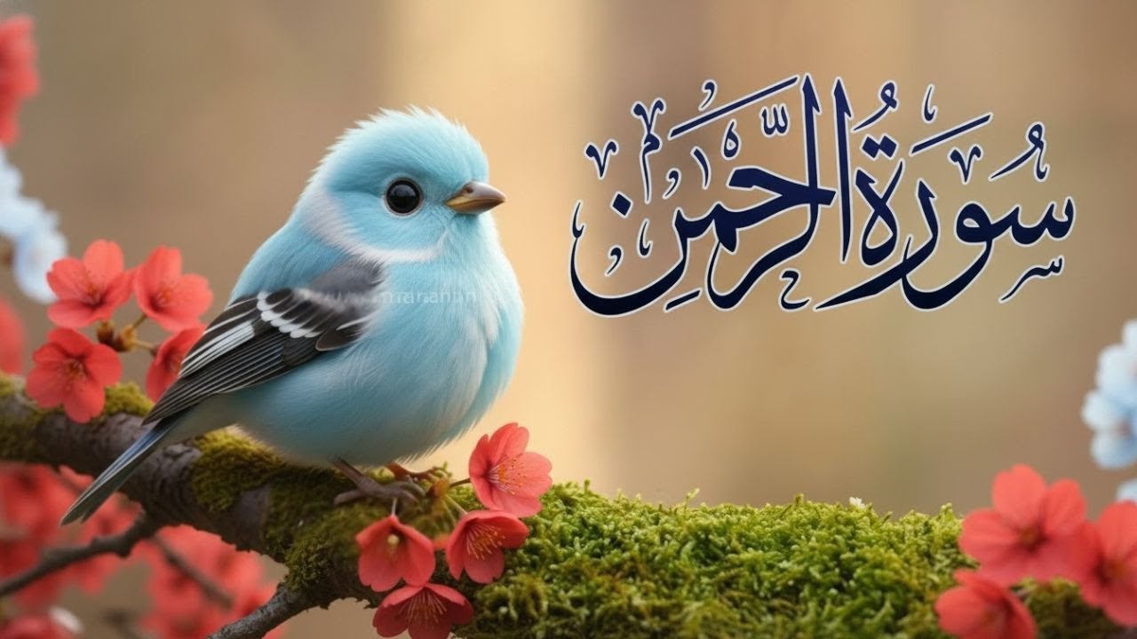 Surah Ar-Rahman (سورة الرحمن) | Full with Urdu Translation & Explanation | Amazing Quran