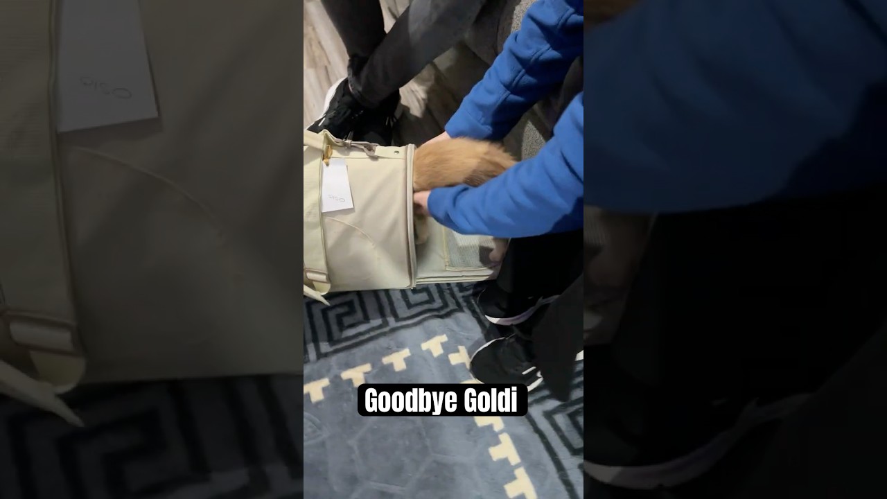 Say goodbye