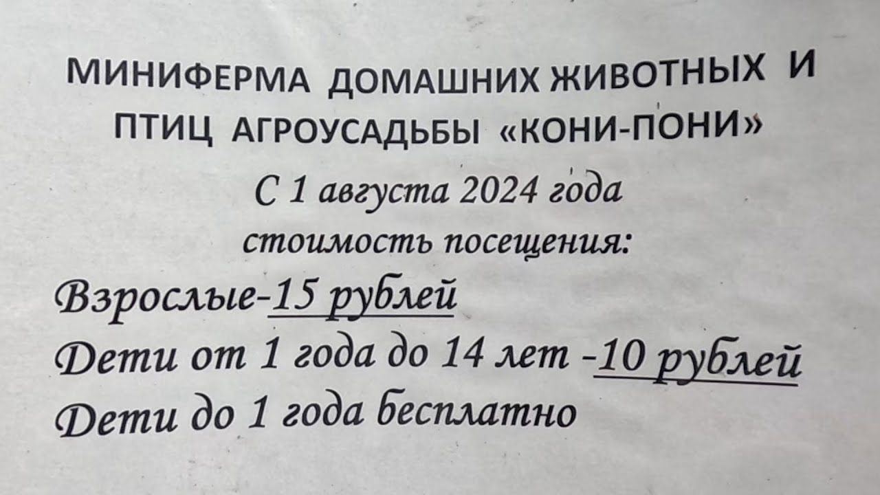 ПОСЕЩЕНИЕ МИНИФЕРМЫ, ТРАССА М6, МИНСК-ГРОДНО!ОЧЕНЬ ИНТЕРЕСНО ,СОВЕТУЕМ ПОСМОТРЕТЬ!!!